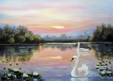 Couple Swans