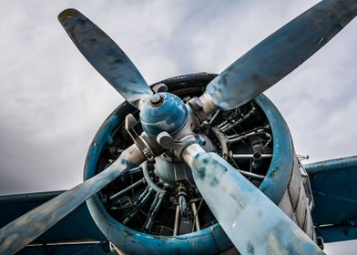 Propeller of the AN2 plane