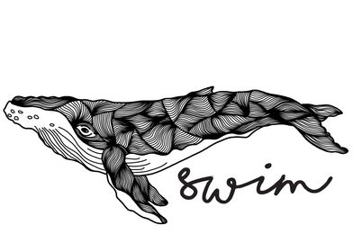 Humpback Whale  |  Swim swim swim