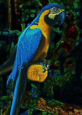Digital parrot