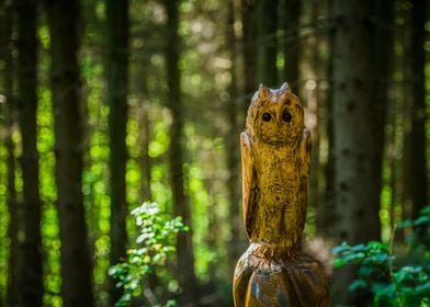 Wooden Owl