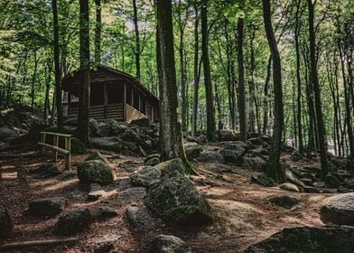 House in the Forest