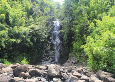 Waterfall Jungle Hawaii