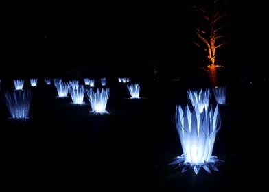 Christmas Lights at Kew