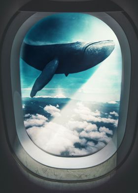 Blue Whale on Airplane win