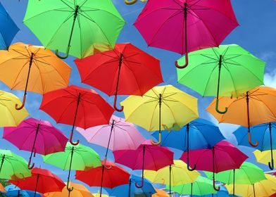 Umbrellas in Coral Gables