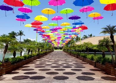 Umbrellas bridge