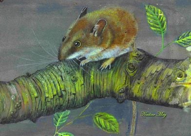 Acrylic Painting of a Field Mouse