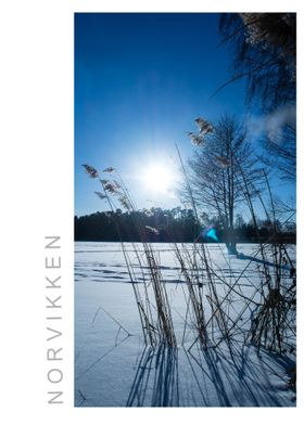 Norvikken Winter 2017 33