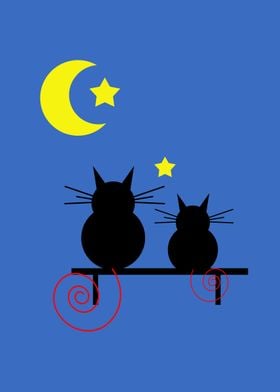 Cats and night