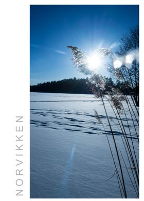 Norvikken Winter 2017 35
