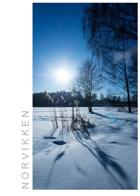 Norvikken Winter 2017 36