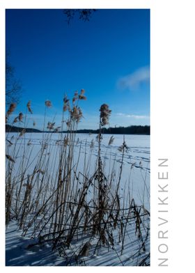 Norvikken Winter 2017 38