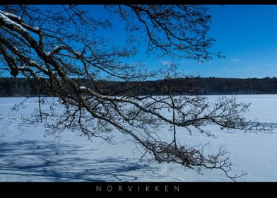 Norvikken Winter Landscapes 2017 4