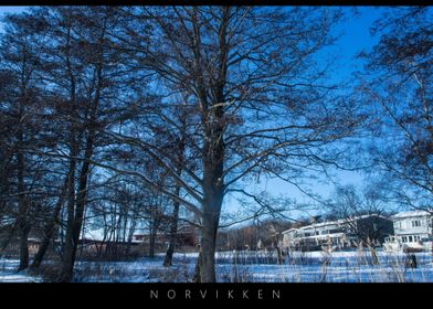 Norvikken Winter Landscapes 2017 8