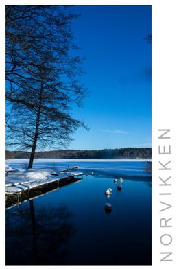 Norvikken Winter 2017 55