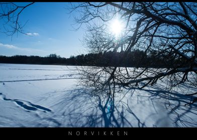 Norvikken Winter Landscape 2017 24