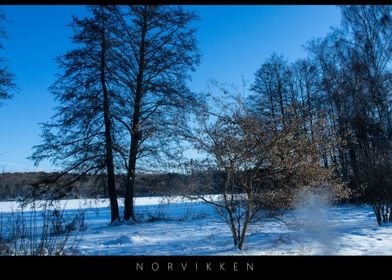 Norvikken Winter Landscape 2017 18