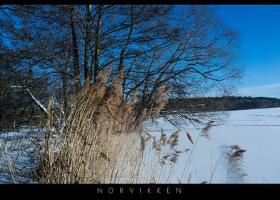 Norvikken Winter Landscape 2017 38