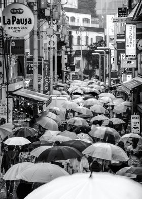Umbrellas in tokyo