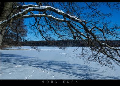 Norvikken Winter Landscapes 2017 6