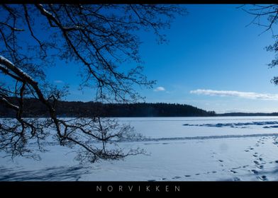 Norvikken Winter Landscapes 2017 3