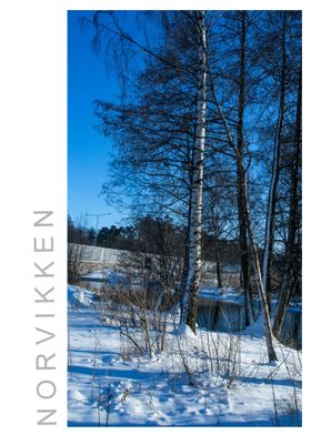 Norvikken Winter 2017 60