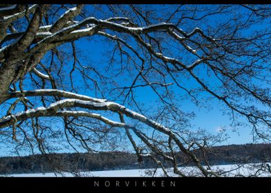 Norvikken Winter Landscapes 2017 9
