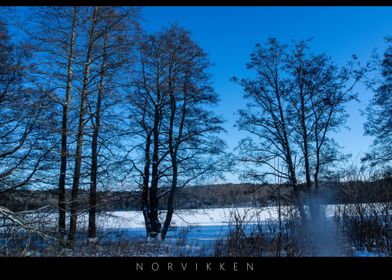 Norvikken Winter Landscape 2017 17