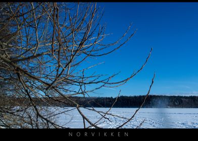 Norvikken Winter Landscape 2017 23