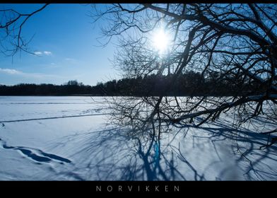Norvikken Winter Landscape 2017 25