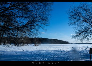 Norvikken Winter Landscape 2017 19