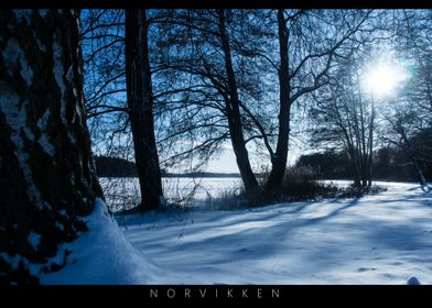 Norvikken Winter Landscapes 2017 10