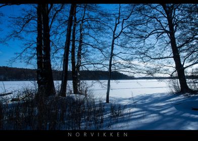 Norvikken Landscape 2017 1