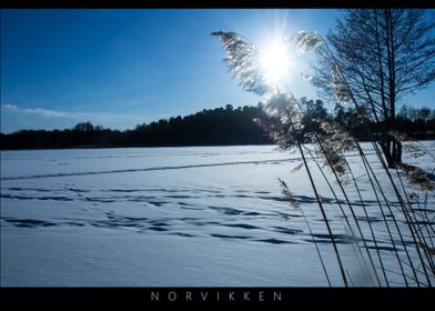 Norvikken Winter Landscape 2017 37
