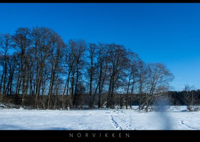 Norvikken Winter Landscape 2017 20