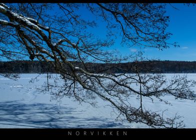 Norvikken Winter Landscapes 2017 5