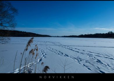 Norvikken Winter Landscape 2017 39