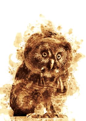 Staring Owl Coffee Style Painting