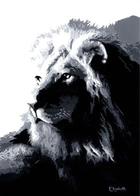 Malone the Lion 