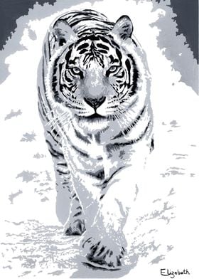 Adora the Tiger
