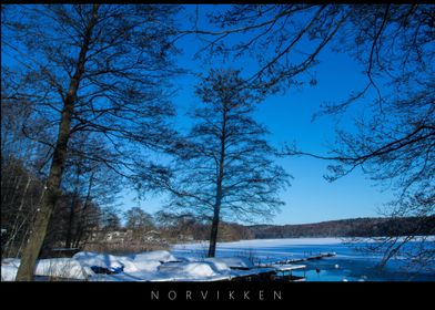 Norvikken Winter Landscape 2017 59