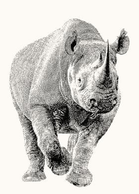 Black Rhino Full Figure