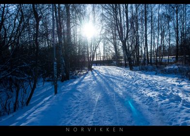 Norvikken Winter Landscape 2017 55 