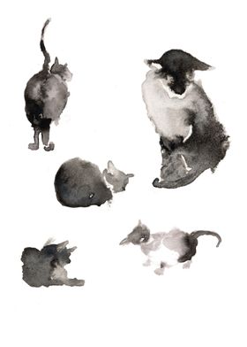 Cats 04