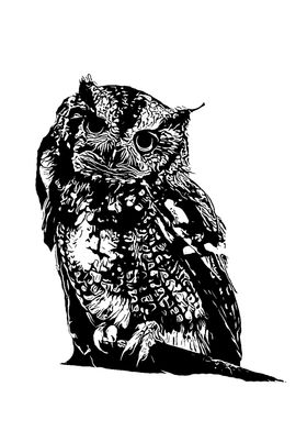 black&white owl