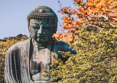 Great Buddha Of Kamakura 