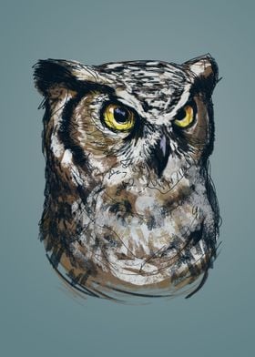 Owl's Understanding