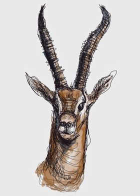 Wire Gazelle