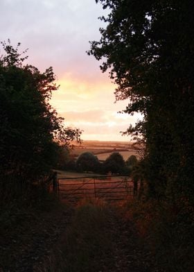 Field gate with sunset